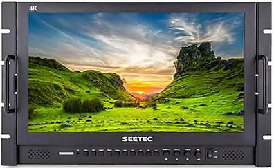 17,3" LED монитор SEETEC P173-9HSD-РМ